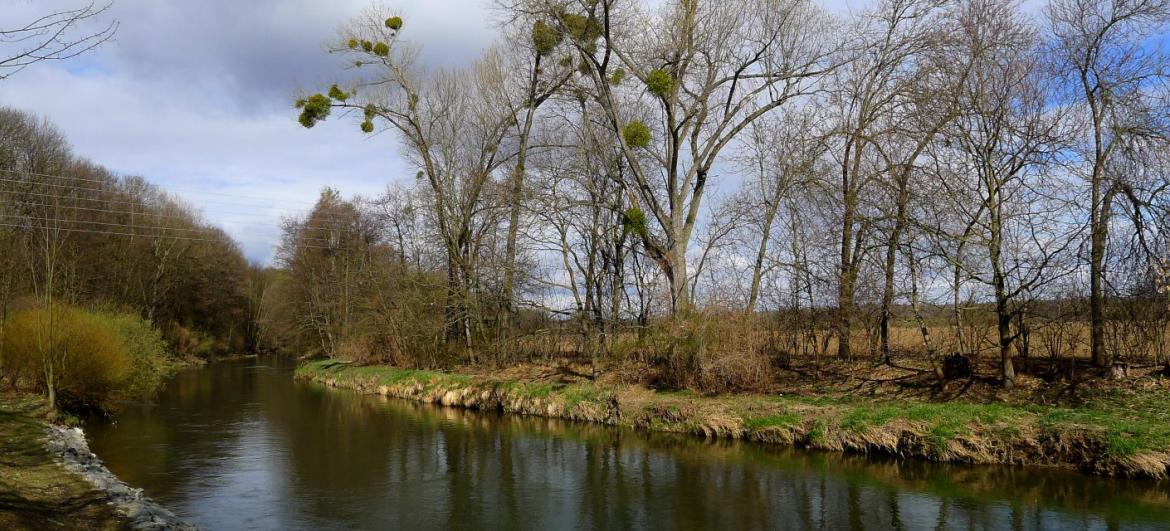 Litovelské Pomoraví