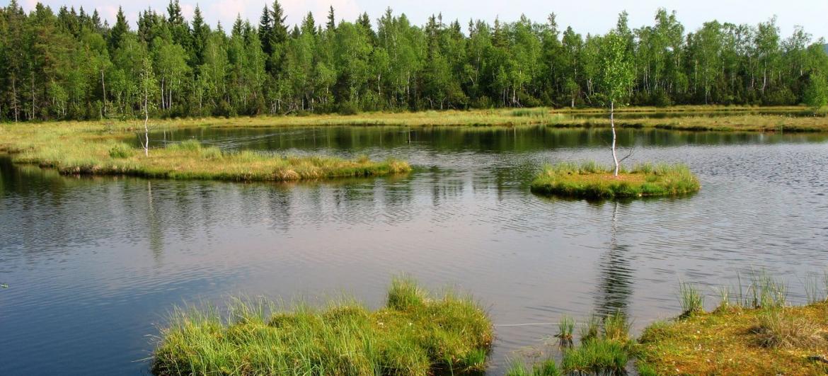 Šumava