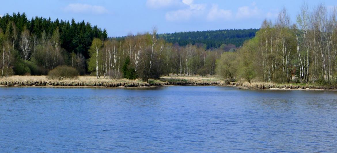 Žďárské vrchy