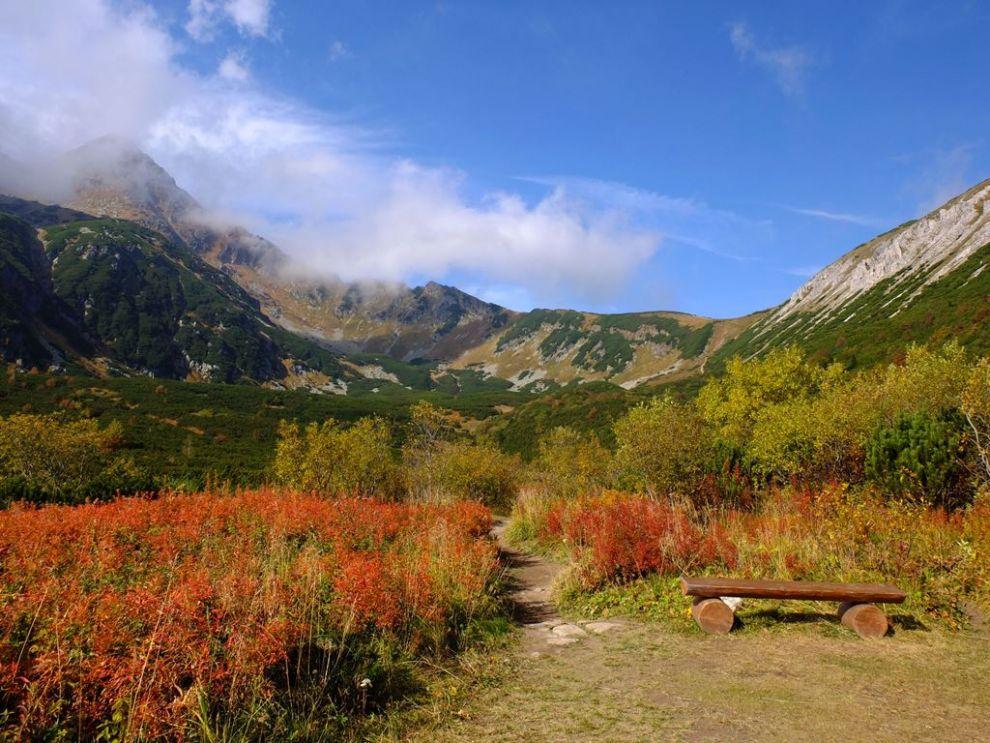 Biele pleso
