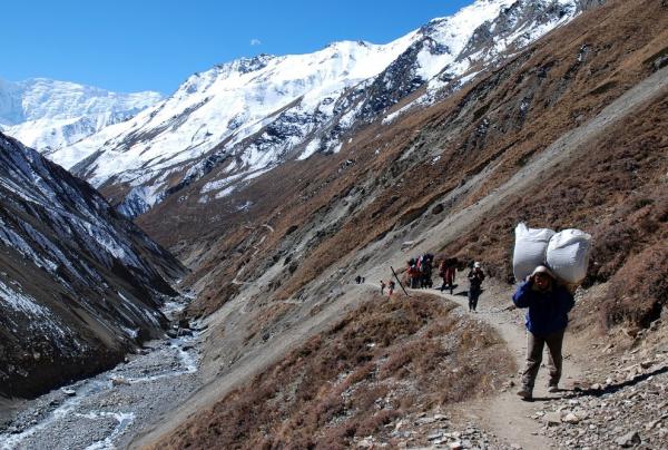 Carrier just before Thorong Phedi