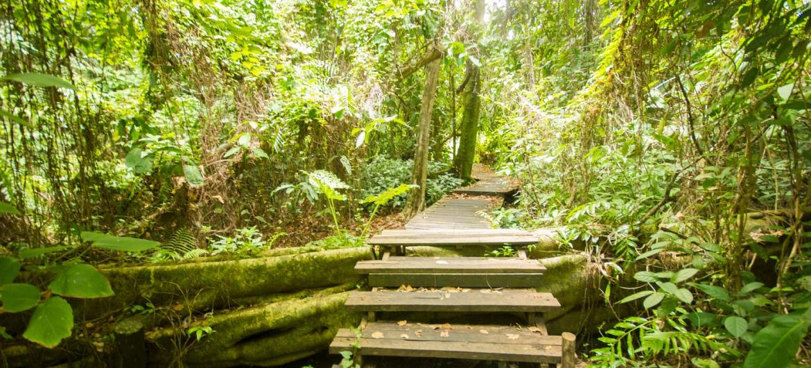 Phu Sang Waterfall
