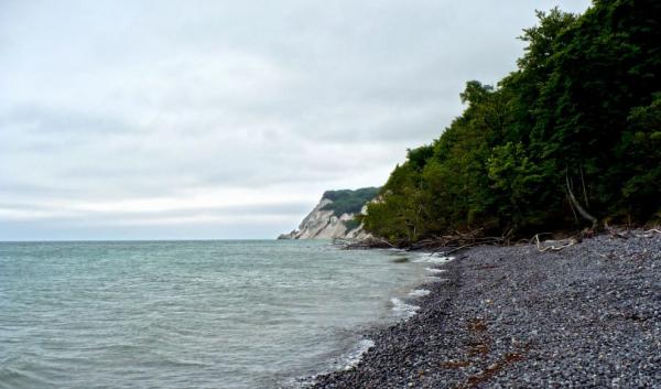 Møns Klint, křídové útesy