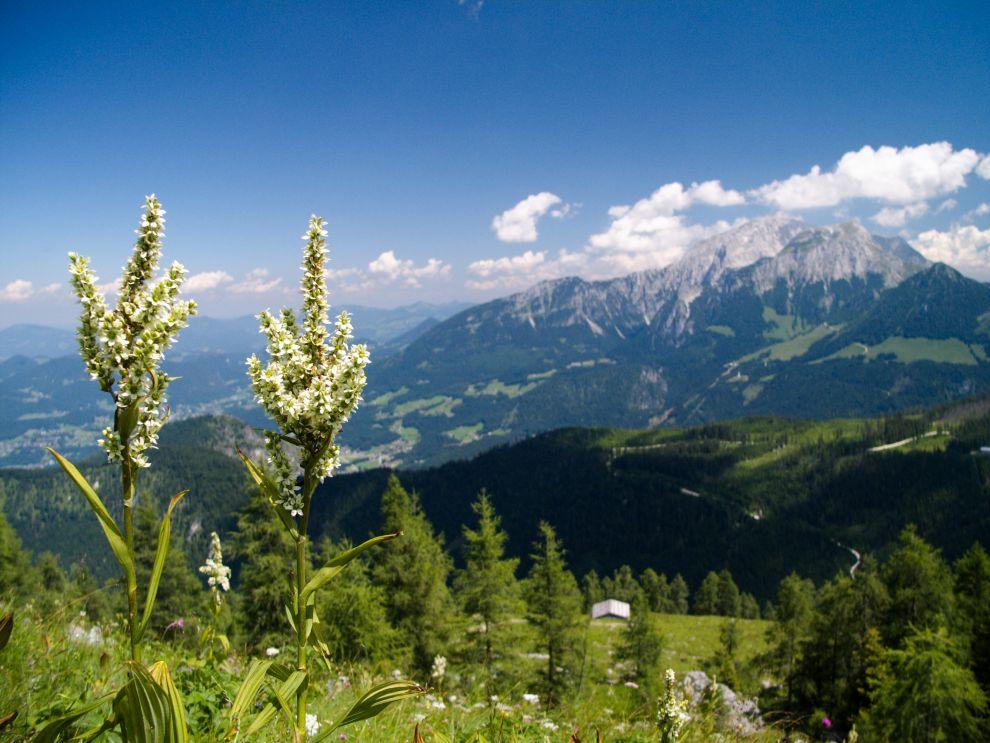 Berchtesgadenské Alpy