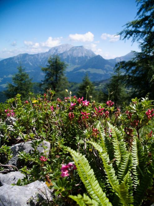 Výstup na Watzmannhaus