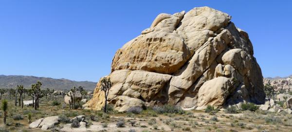 Národní park Joshua Tree