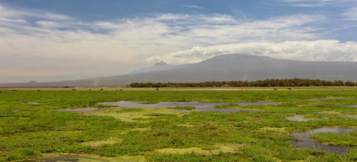 Safari v Amboseli