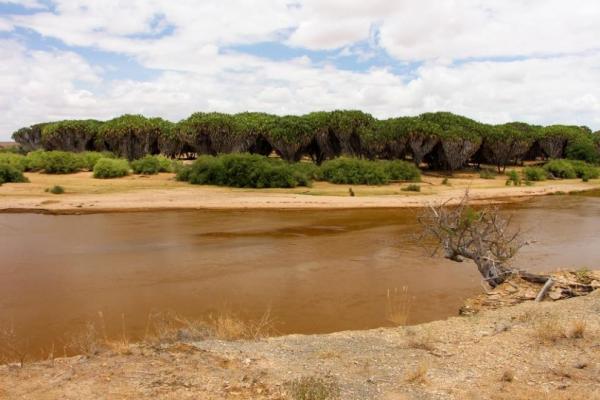 Galana river
