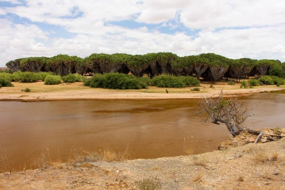 Galana river