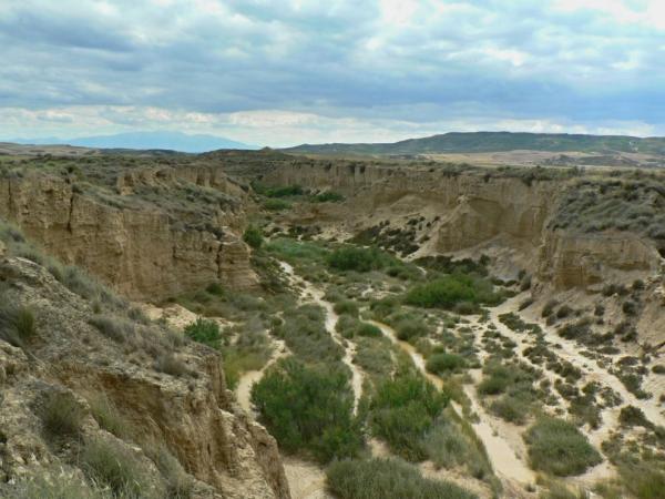 Bardenas Reales