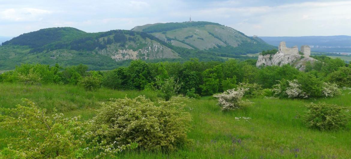 Děvín (Pavlovské vrchy)
