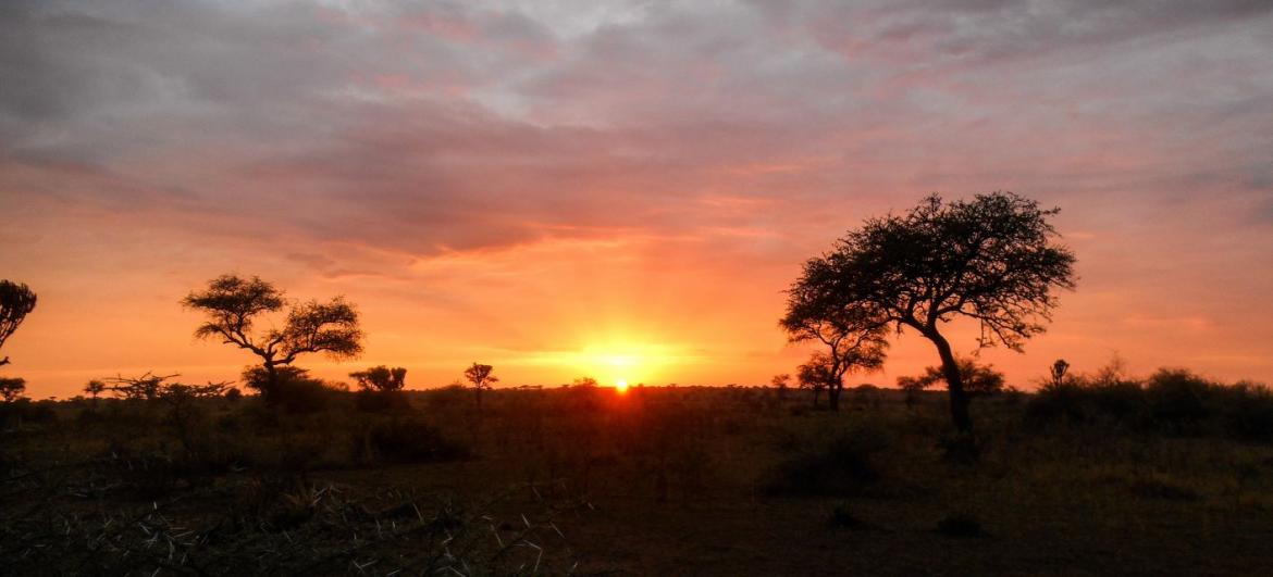 Národní park Serengeti