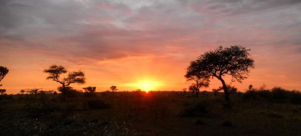 Národní park Serengeti