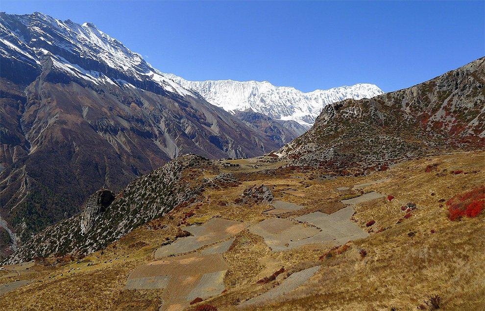 Small fields near Upper Khangsar