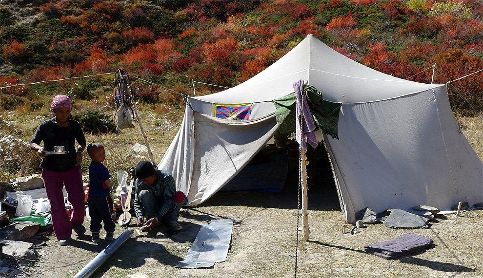 Tibetans