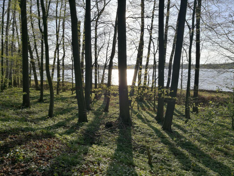 Lesy, roviny a spousta vody