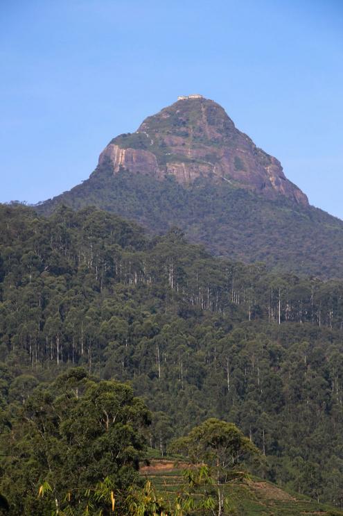 Adam's Peak