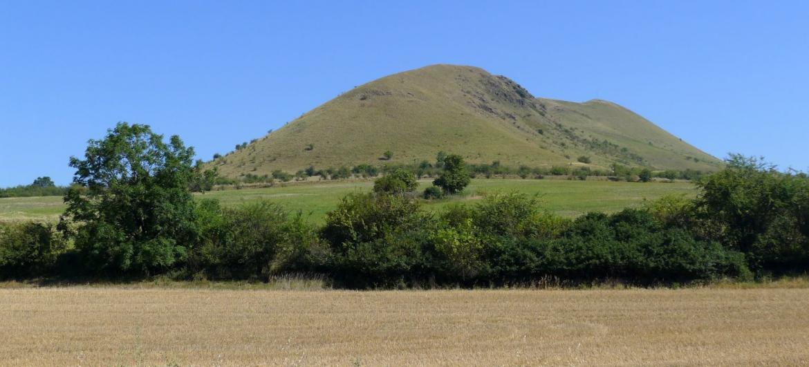 Raná