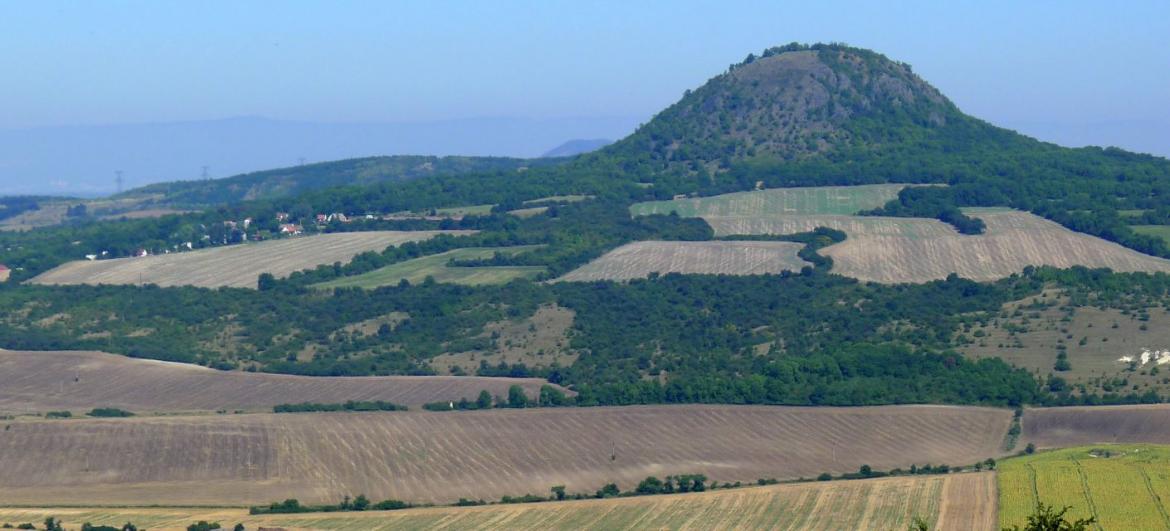 Milá