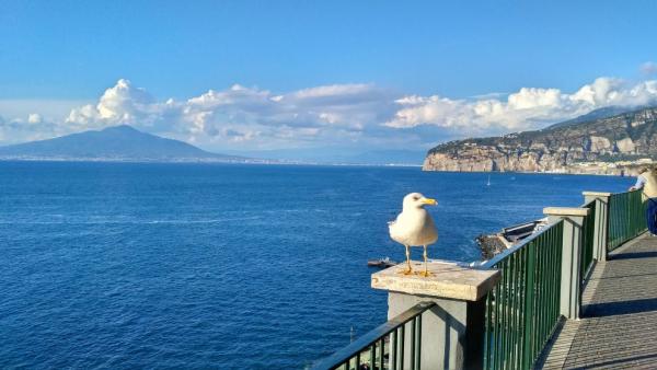 Sorrento