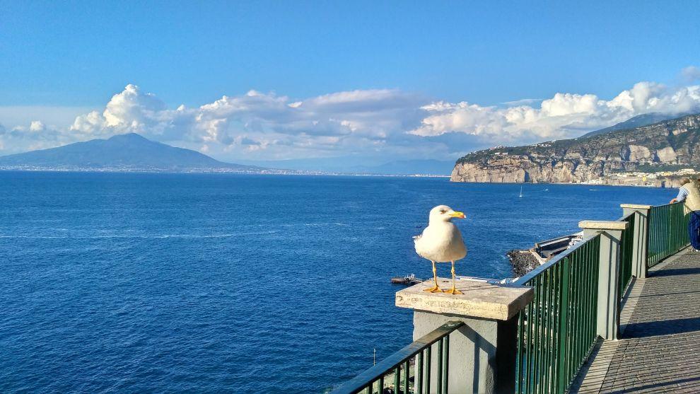 Sorrento