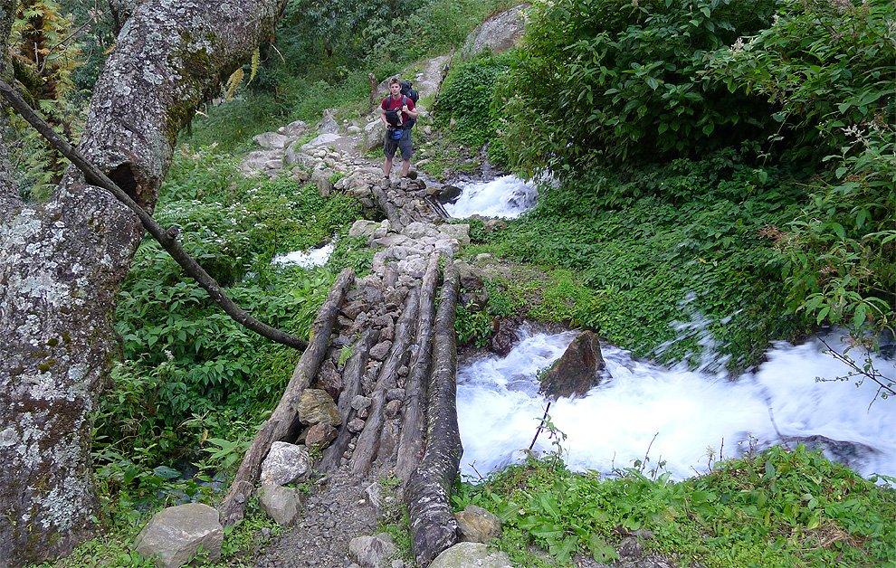 Cesta džunglí