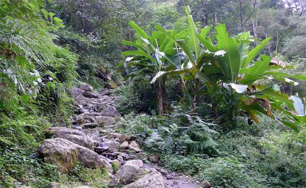 A steep ascent