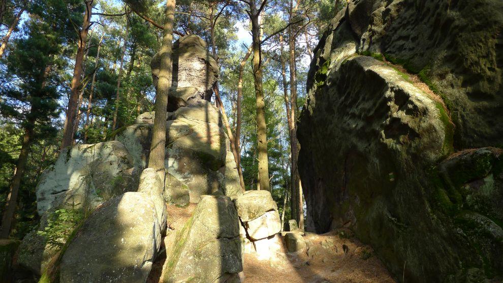Cesta lesem