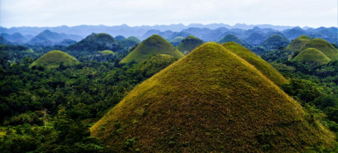 Chocolate Hills