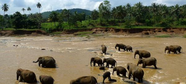 Sri Lanka