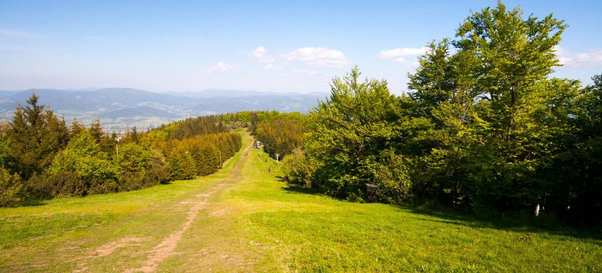 Javorový vrch
