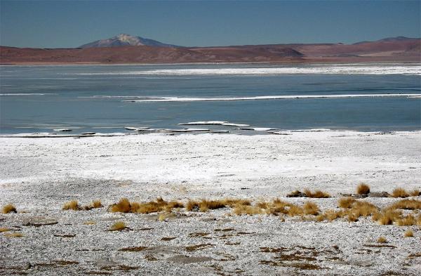 Laguna Salada
