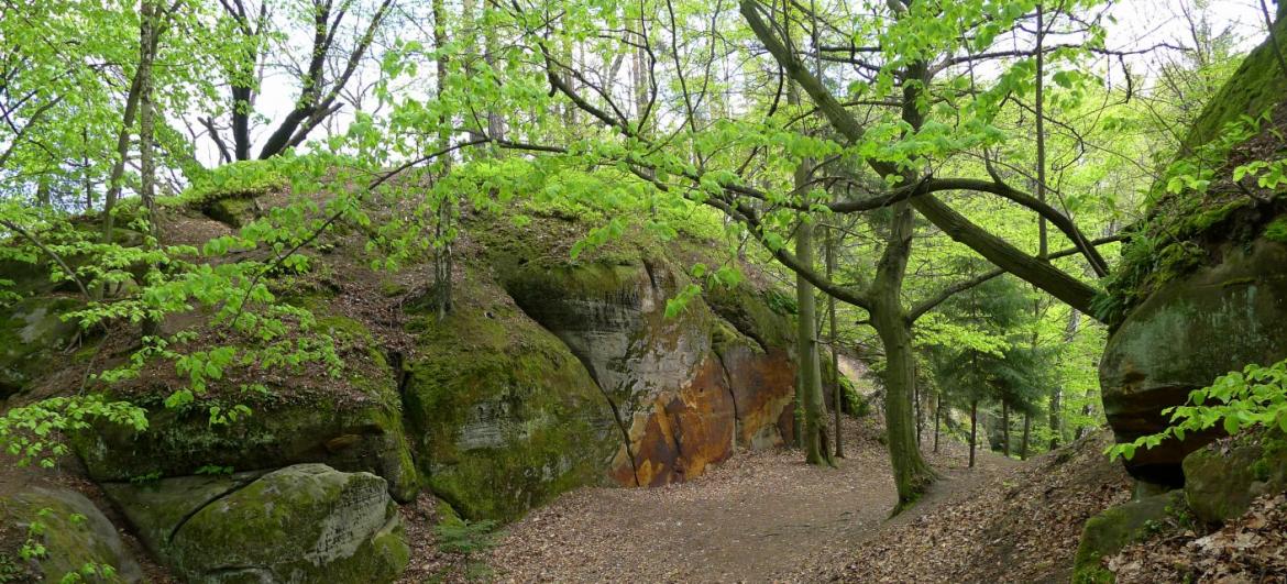 Túra Valečov - Obětní kámen - Příhrazy