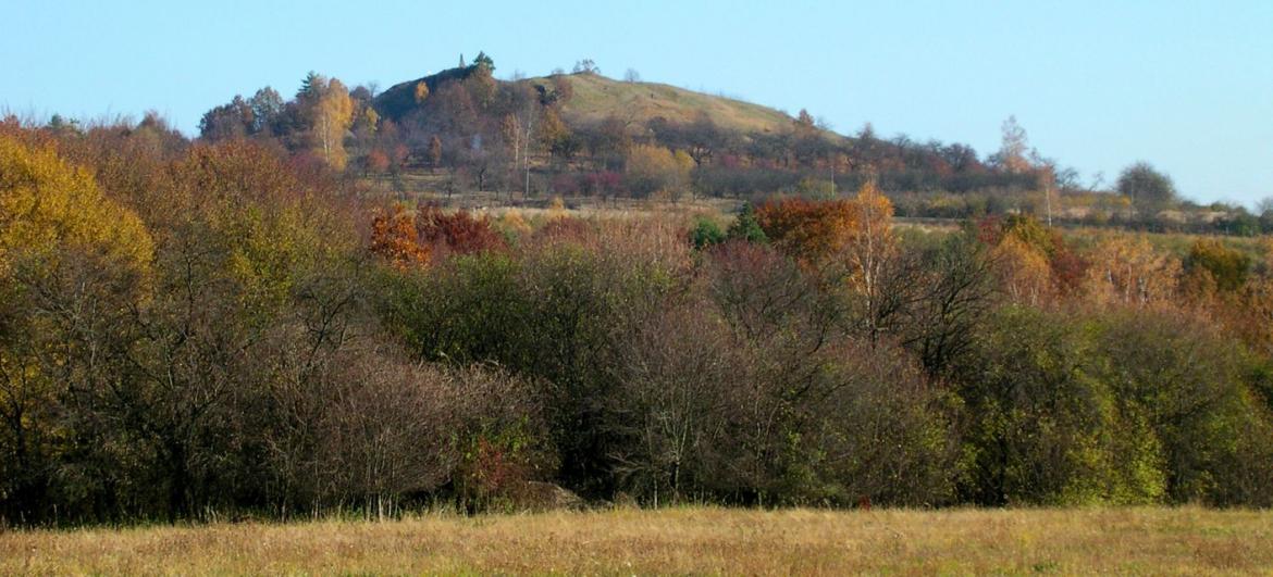 Mužský