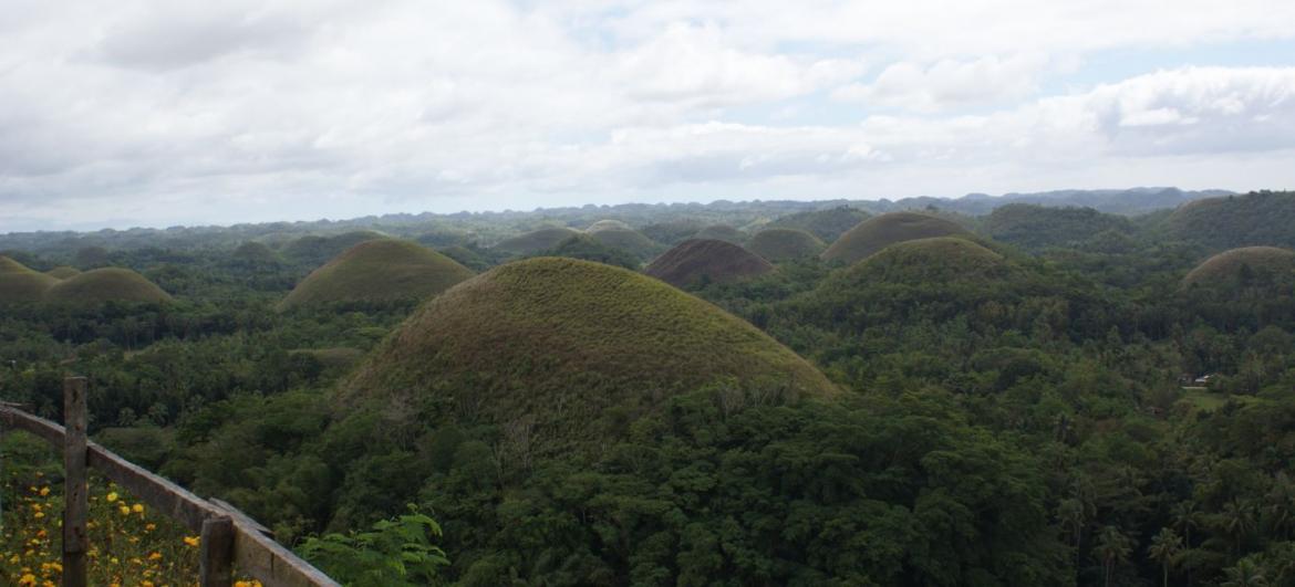Bohol