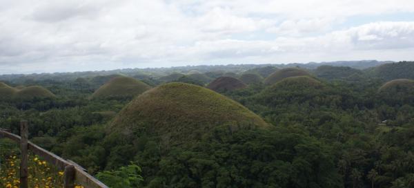 Bohol