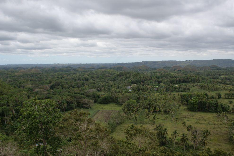Bohol