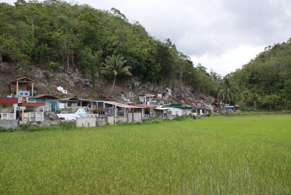 Bohol