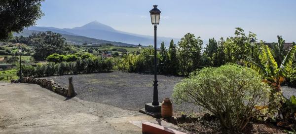 Tenerife a víno