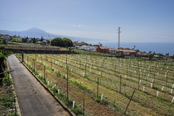 Bodegas Presas Ocampo