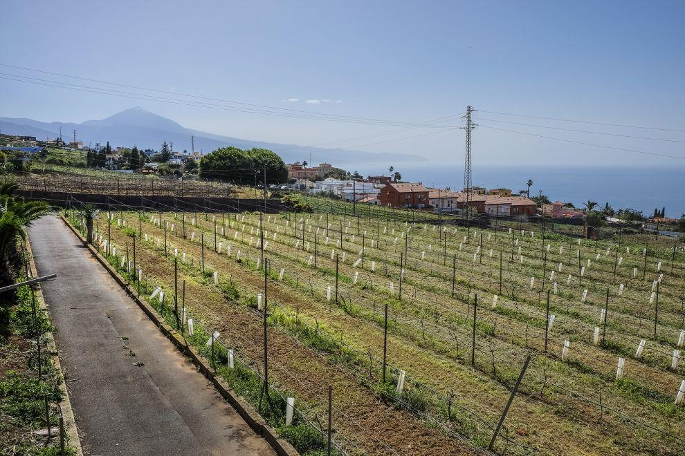 Bodegas Presas Ocampo