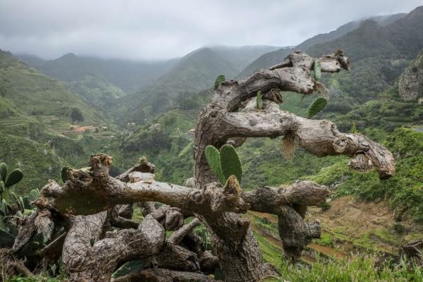 Los Batanes