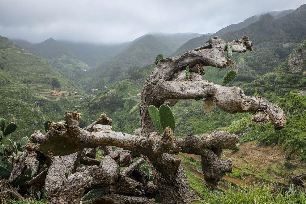 Los Batanes