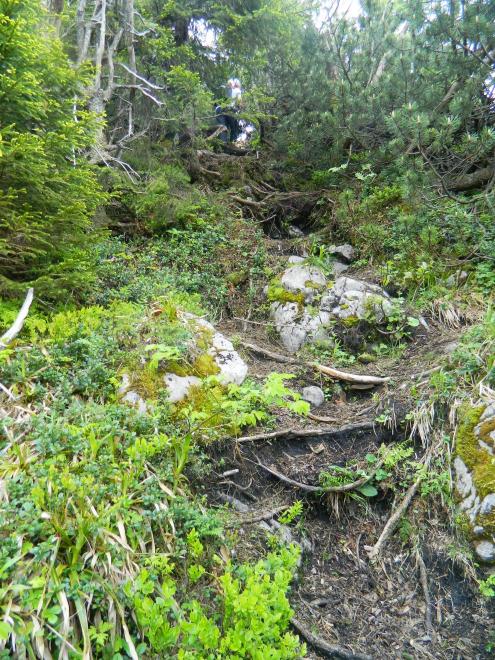 Zostup