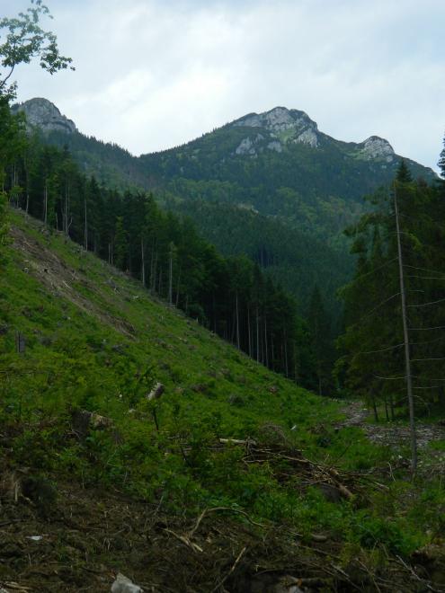 Posledné výhľady