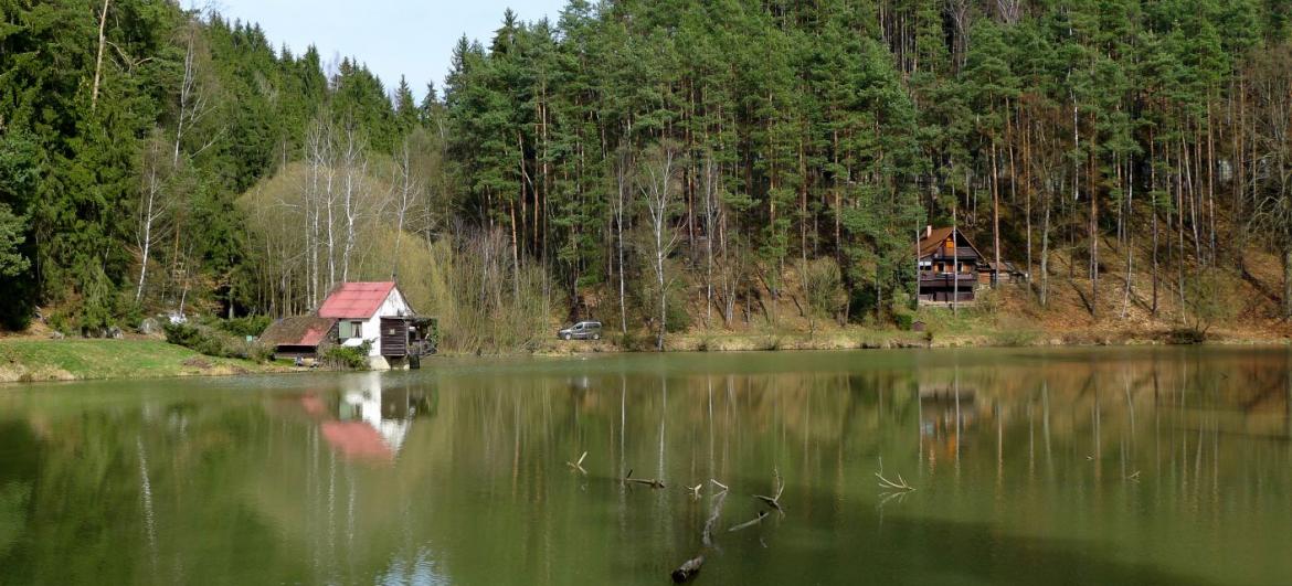 Procházka Mladějov - Dolní Mlýn