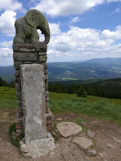 Stromy fuč, je tu slon