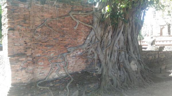 Ayutthaya