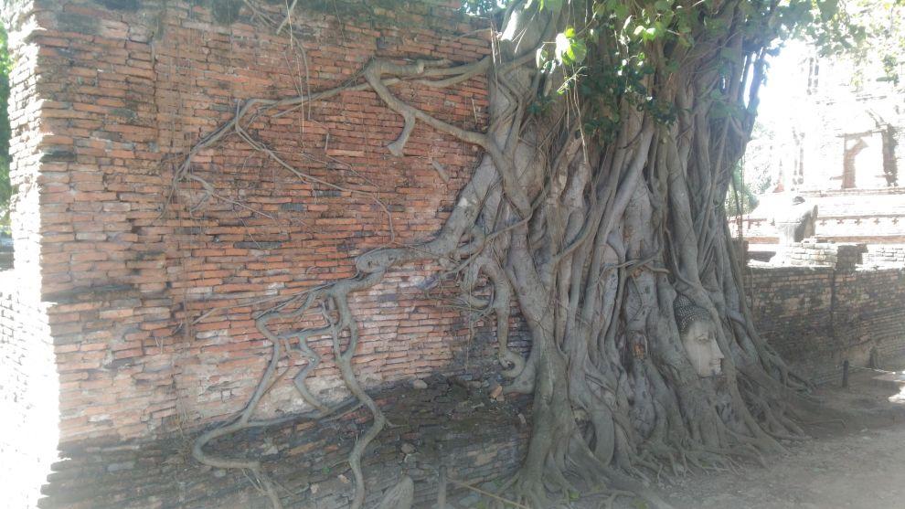 Ayutthaya
