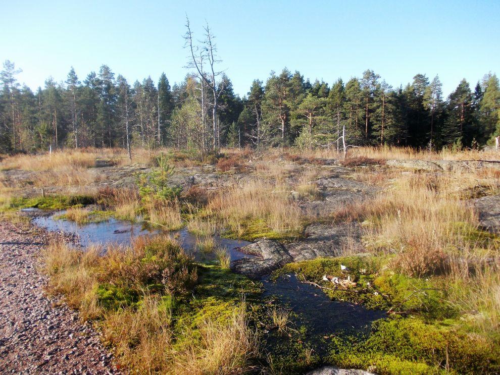 Cesta na Kattilu